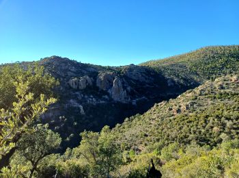 Tour Wandern Fréjus - Mont Vinaigre depuis Colle Douce - Photo