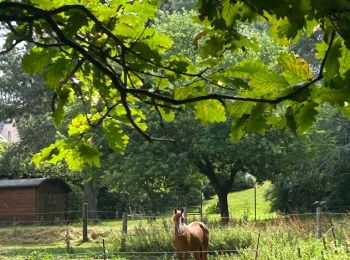 Tour Wandern Ittre - #230717 - Virginal-Samme, Ardennes et Grand Bois, dont 2,5 km du GRP 127 - Photo
