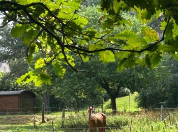 Tocht Stappen Itter - #230717 - Virginal-Samme, Ardennes et Grand Bois, dont 2,5 km du GRP 127 - Photo