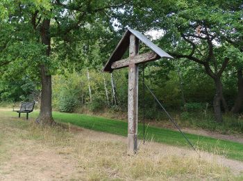 Tour Zu Fuß Mechernich - EifelSchleife Altusknipp-Weg - Photo