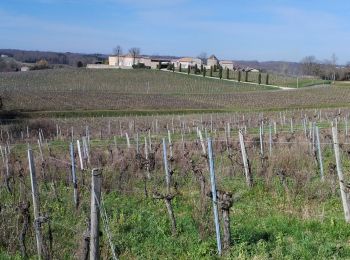 Randonnée Marche Vérac - Vérac et le Tertre de Thouil - Photo