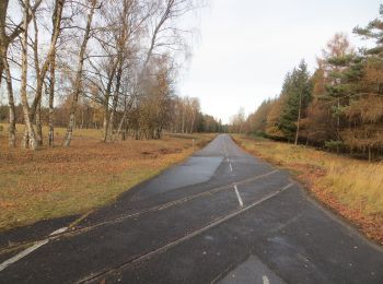 Percorso A piedi Brüggen - NSG Brachter Wald Wanderweg Blau - Photo