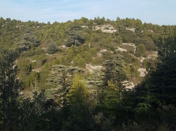 Excursión Senderismo Lagnes - Lagnes Tête du Soldat Mur de la peste Esperacons  - Photo