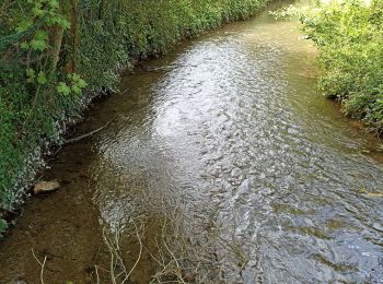 Randonnée Marche Maintenon - Maintenon APL - Photo