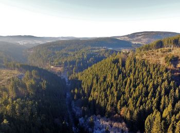 Tocht Te voet Lenzkirch - Gutachtal - Photo