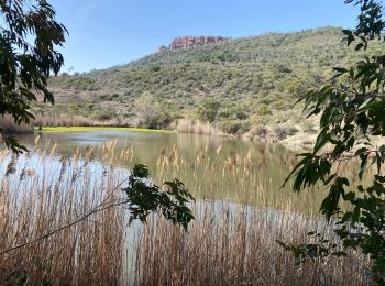 Tour Mountainbike Fréjus - Esterel 7  : Fait 2022 avec C et E  - Photo