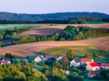 Tocht Te voet Pomocne - Szlak Wygasłych Wulkanów - Photo