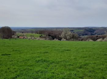 Tour Wandern Fougerolles-Saint-Valbert - Fougeroles - Photo