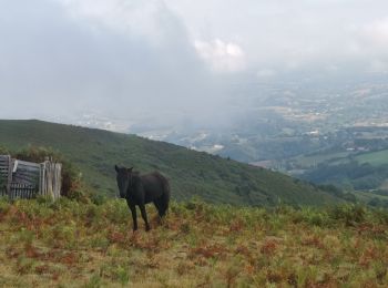 Tour Wandern Ainhoa - Boucle  Gr10 - Photo