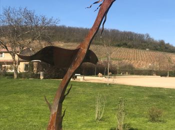 Tocht Stappen Chasselas - Chasselas (Saône- et-Loire région Bourgogne)   - Photo