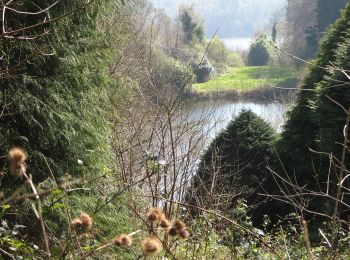 Percorso A piedi Sconosciuto - Castlewellan Forest Park - Lakeside Walk - Photo