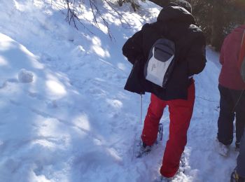 Tocht Sneeuwschoenen Chamrousse - canyon saliniere court - Photo