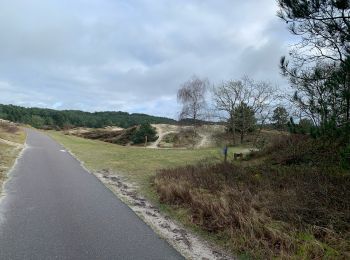 Trail Walking Bergen (NH) - Groet - schoorlse duinen - Photo