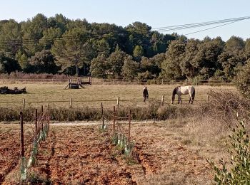 Excursión Senderismo Congénies - Congénies(randonnette du 13-01-2022) - Photo