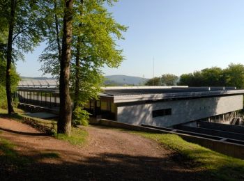 Tocht Te voet Saint-Léger-sous-Beuvray - La Ronde des Mineurs - Photo