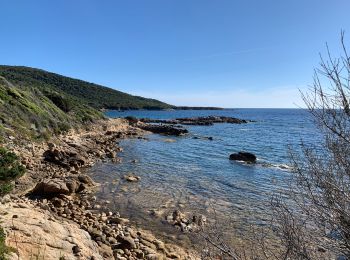 Tocht Stappen Serra-di-Ferro - Porto Pollo a cupabia, retour par sentier littoral - Photo