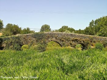 Percorso A piedi Macedo do Mato - Na Rota dos Pombais - Photo