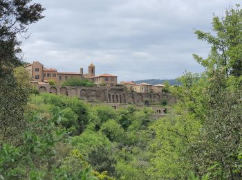 Tour Wandern Collobrières - Rando La Verne - Photo