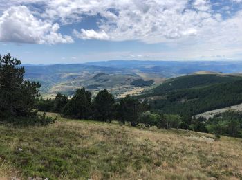 Tocht Stappen Mont Lozère et Goulet - Mont Lozère, col Finiels  - Photo