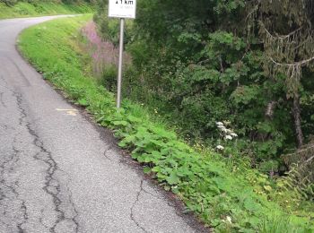 Tour Rennrad Morzine - avoriaz par la joux verte - Photo