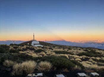 Tocht Te voet Candelaria - SL TF 296.2 Barranco Chacorche - Photo