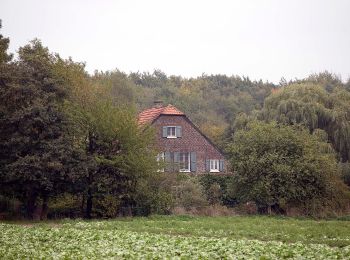 Tour Zu Fuß  - Forstwald Rundweg A1 - Photo