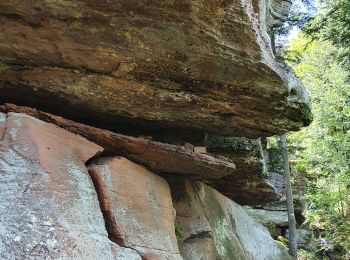 Tour Wandern Celles-sur-Plaine - peine de sucre - Photo