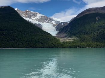 Tour Motorboot  - Sortie Bateau Patagonie 4 - Photo