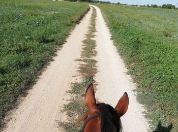 Tour Reiten Loisy - simandre - Photo