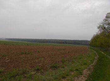 Tour Zu Fuß Großkirchen - Z+ (Nagyrécse ) - Photo