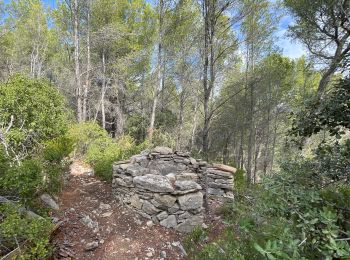 Trail Walking La Cadière-d'Azur - LA CADIERE  - Photo