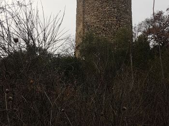 Randonnée Marche Ille-sur-Têt - Ille belesta ille  - Photo