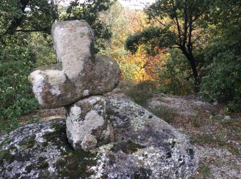 Percorso Marcia Sanilhac - Sarrabasche Beaumont  - Photo