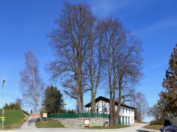 Excursión A pie Gemeinde Schönbach - Lohnbachfallweg kurz - Photo