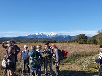 Excursión Senderismo Ria-Sirach - fourques marche  - Photo