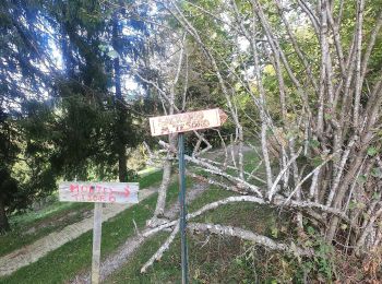 Tour Zu Fuß Torre de' Busi - Sentiero 823: Torre de' Busi - Colle di Sogno - Valcava - Photo
