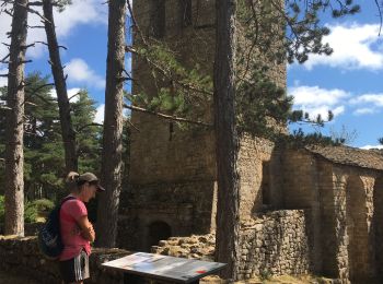 Tour Wandern Veyreau - Corniche du Causse noir (Le point sublime)  - Photo