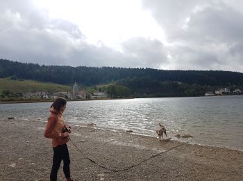 Tocht Stappen Grande-Rivière-Château - Lac de l'Abbaye - Photo