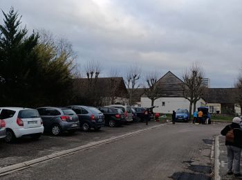 Tocht Stappen Joigny - Randonnée sur les hauteurs de Joigny - Photo