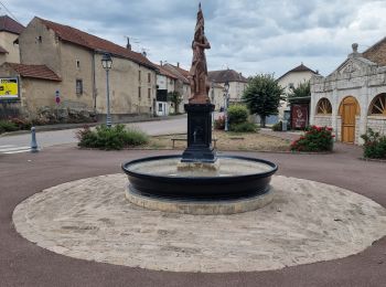 Excursión Bici de carretera Vouthon-Haut - tour autour de chez moi - Photo