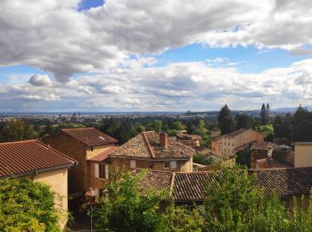 Randonnée Marche Saint-Cyr-au-Mont-d'Or - balade autour de St-Cyr - Photo