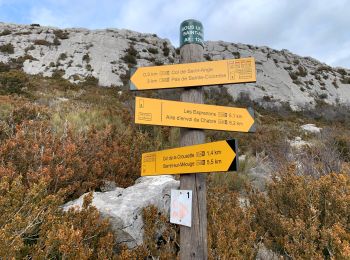 Tour Wandern Val-Buëch-Méouge - Montagne de Chabre (03 2925) - Photo