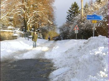 Randonnée A pied Nové Město nad Metují - [Z] Novoměstský okruh - Photo