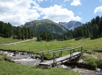 Randonnée A pied Taufers im Münstertal - Tubre - Via Alpina Red R68 - Photo