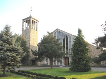 Percorso A piedi Tongeren - Beukenberg Gele pijl - Photo