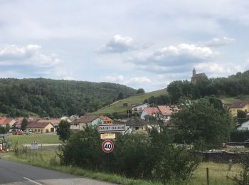 Randonnée Marche Saint-Quirin - 2020-07-19 St quirin 3 Roses - Photo