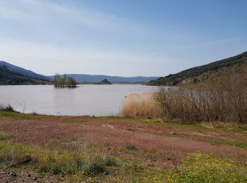 Excursión Marcha nórdica Le Puech - Les Vailhés - Celles autour du Cébérou - Photo