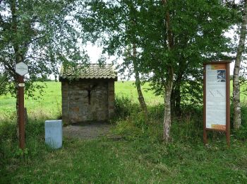 Trail On foot Marche-en-Famenne - 11. Promenade Linaigrette - Photo