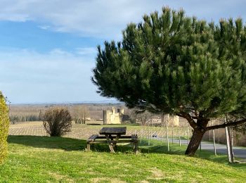 Trail Walking Budos - LSG Budos février 2020 - Photo