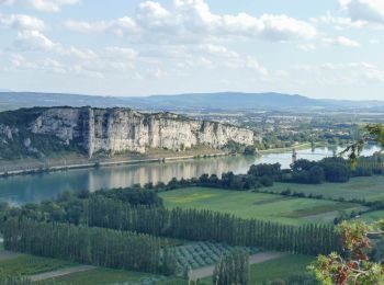 Tour Wandern Châteauneuf-du-Rhône - 2024-06-16_06h15m19_t219378880_chateauneuf du rhone - - Photo